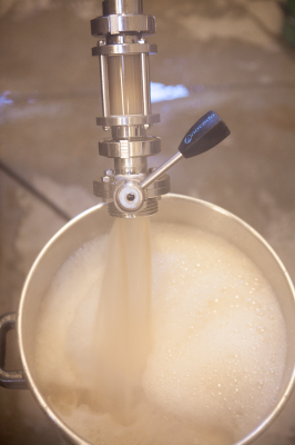 /No Science Brasserie